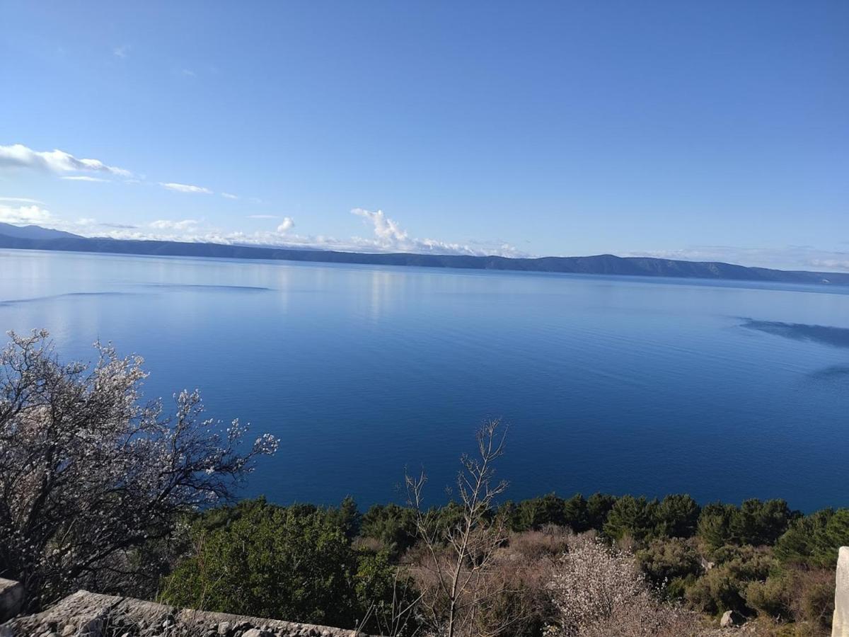Apartman Krzenic With Sea View Podgora Eksteriør bilde